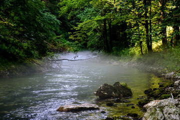 Wąwóz Vintgar, Słowenia © TOP67
