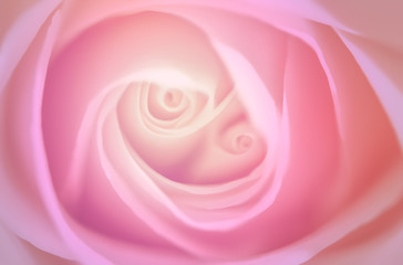 Abstract close up of pink rose, defocused. Abstract natural background.