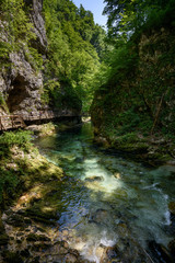 Fototapeta premium Wąwóz Vintgar, Słowenia