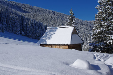 Winter Tatras Rusinowa 