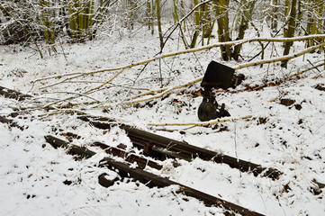 Tory kolejowe i zwrotnica w lesie zasypane śniegiem.