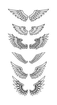 Illustration Of Wings Collection Set