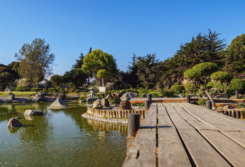 Fototapeta premium Japanese Garden, La Serena, Coquimbo Region, Chile