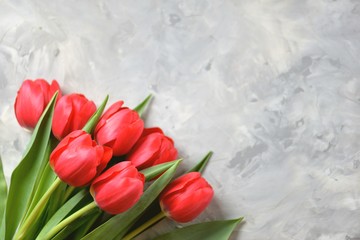 Fresh pink tulips - spring background.