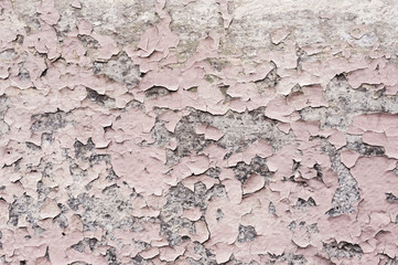 Naklejka premium Pink paint coating with cracks on a dirty gray stone. Peeling pink paint Grunge