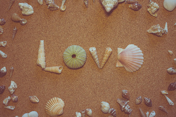 Love. The word "love" of sea shells on a brown background.