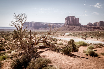 Drought in the southwest of the USA. Desert vegetation and rocks monuments