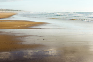 foggy beach in winter