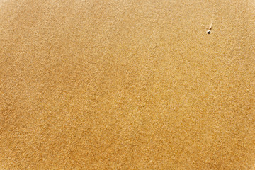 wet beach sand background