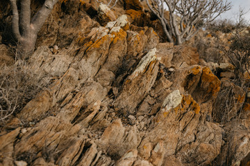 Ancient yellow stones