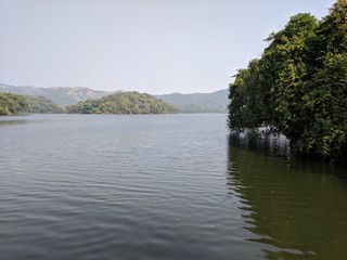Fototapeta na wymiar Mumbai reserve land