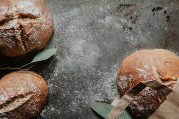 Freshly baked bread lying on a baking tray with flour and eucalyptus leaves
