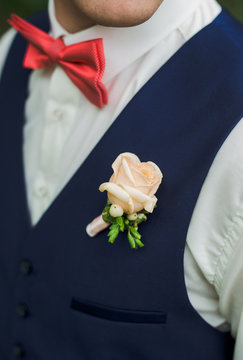 Closeup Of Handsome Adult Man Festively Dressed. Portrait Of Groom Or Best Man Wearing White Shirt, Blue Vest, Red Bowtie And Pastel Rose Buttonhole. Vertical Color Photography.
