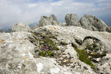 Velebit mountain landscape