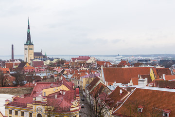Fototapeta premium Tallinn, Panorama of the city from Toopmea hill.
