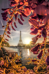 Eiffel Tower with boat during spring time in Paris, France