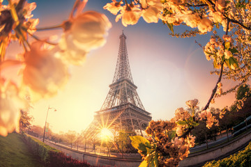 Eiffel Tower during spring time in Paris, France - obrazy, fototapety, plakaty