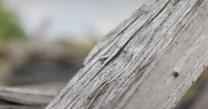Civil War Time Split Rail Fence with Grass Field Rack Focus, 4K