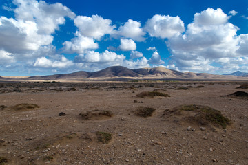 El cotillo