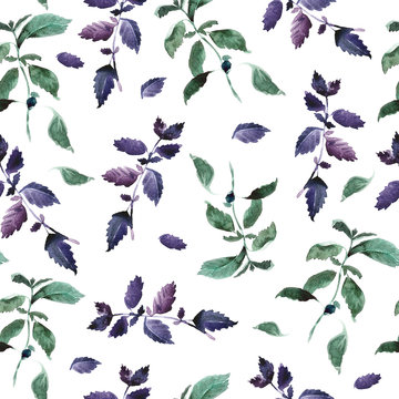 Seamless green basil pattern, Watercolor violet basil decor, cooking spices background with natural watercolor illustration, art for craft label design, bright vegetarian banners, menu of restaurants