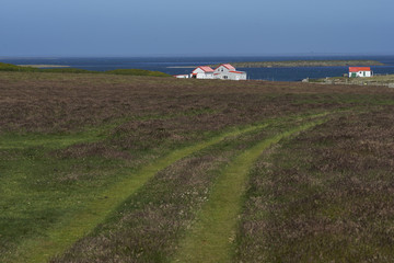 Grass track leading to the settlement on Bleaker Island in the Falkland Islands.