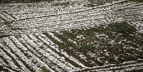 Field snowy landscape