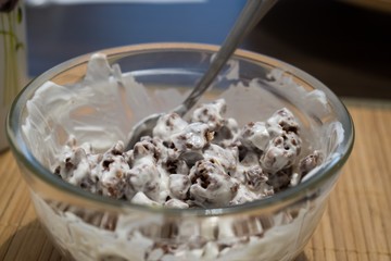 Oat flakes with yogurt in a glass bowl. Slovakia