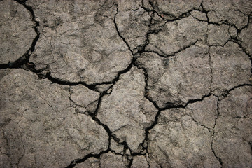 Close-up of cracked soil ground in the dry season
