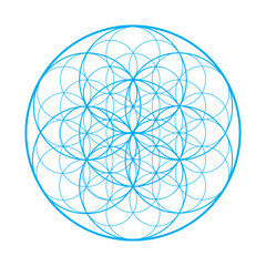 Vector sacred geometry illustration: Flower of Life, also known as seed of life or The Pattern of Creation.