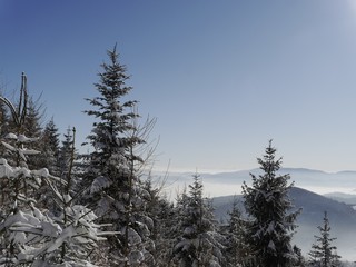 Biała zima w górach.krajobraz w Beskidach