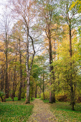 Footpath in the park in autumn, road in the leaves