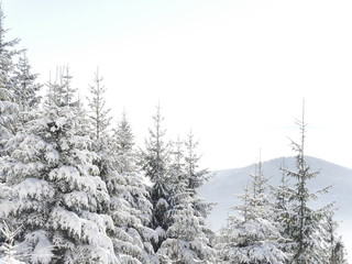zimowy piękny dzień. krajobraz w Beskidach