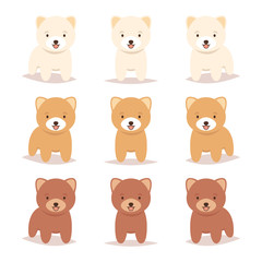 Set of cute young short haircut Pomeranian puppy dog. Cream, orange, red brown color. Lovely adorable pet. Flat design. Vector illustration