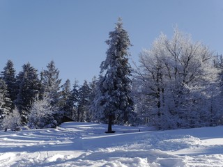 Biała zima w górach.Beskidy w śniegu