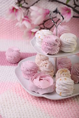 Sweet and tasty dessert, Russian marshmallow. Marshmallow. for the beloved .