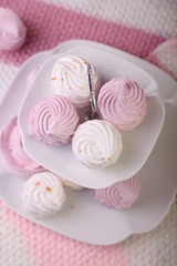 Fototapeta na wymiar Sweet and tasty dessert, Russian marshmallow. Marshmallow. for the beloved .