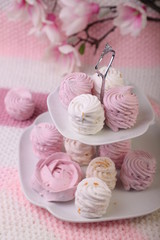 Sweet and tasty dessert, Russian marshmallow. Marshmallow. for the beloved .