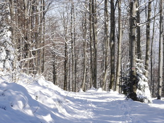 zimowy piękny dzień.krajobraz w Beskidach