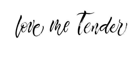 Love Me Tender Postcard. St.Valentine's Day message. Dry brush lettering. Modern calligraphy poster in expressive style