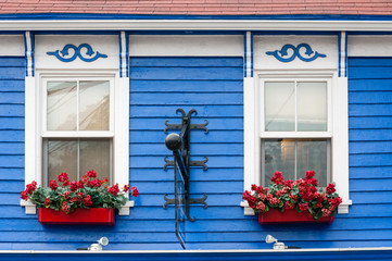 Pair of Decorative Exterior Windows with Red Flowers Boxes
