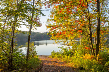 View of the Lake Through the Autumn Trees