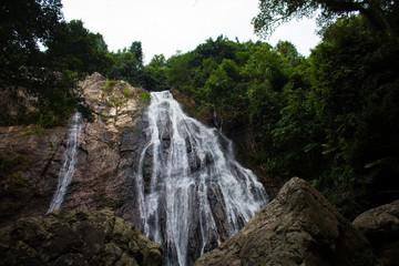 Waterfall in the Forest