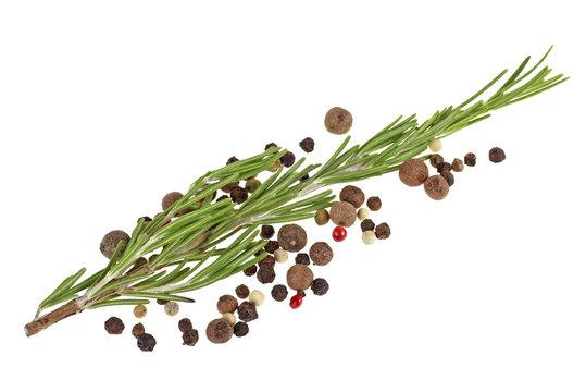 Fresh rosemary and peppercorns isolated on white background