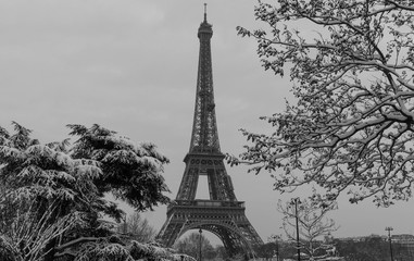 The black and white Eiffel tower from a garden with bare trees in winter, Paris, France.