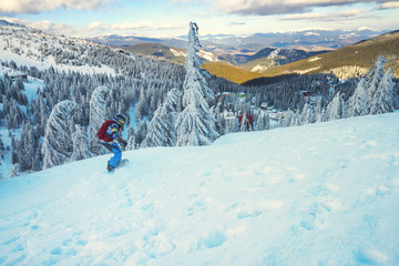 Snowboarder rides down among snow covered fir trees