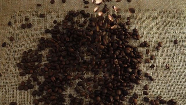 	Coffee beans fall on burlap. Slow Motion.