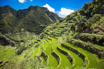 Batad Rice Terraces, UNESCO Heritage, Central Luzon on Philipines