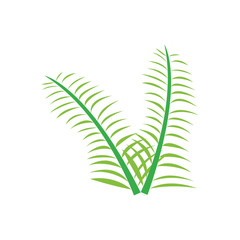 Pair of olive branches