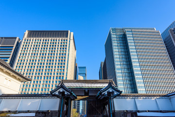 Fototapeta premium 高層ビルと大手門