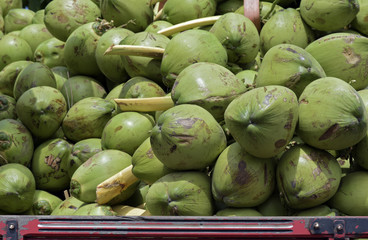 Pile of coconuts in truck bodywork